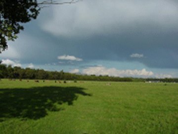 View from the twin room at Hillview Cottage accross the field towards Stirling and Edinburgh. 