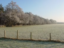 Winter view from the twin room at Hillview Cottage accross the field towards Stirling and Edinburgh. 